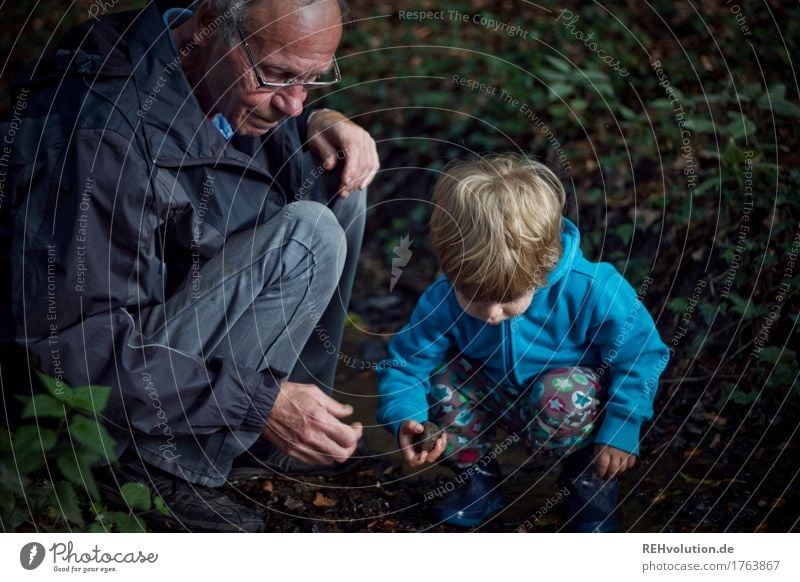 bester opa | im bach Mensch maskulin Kind Kleinkind Junge Mann Erwachsene Männlicher Senior Großvater 2 1-3 Jahre 60 und älter Umwelt Natur Wasser Wald Bach