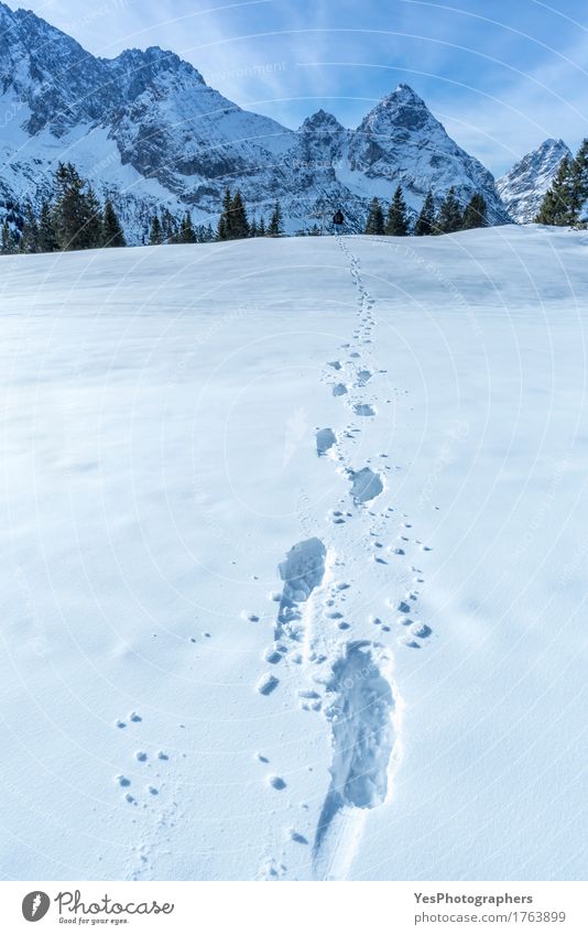 Alpenweg von Schritten im Schnee Freude ruhig Abenteuer Freiheit Winter Berge u. Gebirge Silvester u. Neujahr Wetter Baum Gipfel Sehenswürdigkeit Wege & Pfade