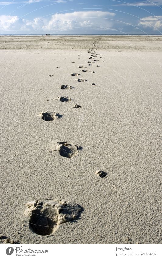 Spuren im Sand Farbfoto Außenaufnahme Menschenleer Morgen Schatten Froschperspektive Weitwinkel Spaziergang Ferien & Urlaub & Reisen Ferne Sommerurlaub Strand