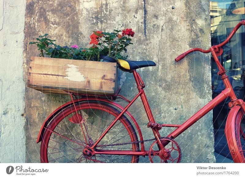 Blumen in einer Holzkiste Design Ferien & Urlaub & Reisen Haus Ostsee Kleinstadt Stadt Gebäude Architektur Verkehr Straße Rost alt nah retro rot Fahrrad Wand