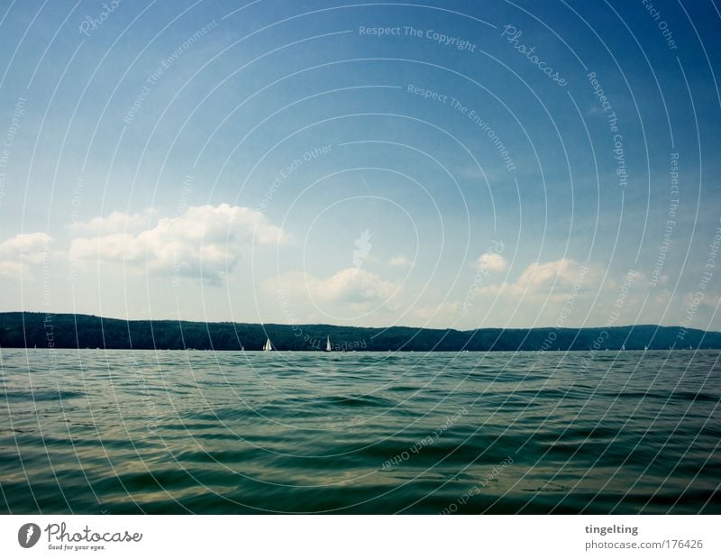 dunkelblau Farbfoto Außenaufnahme Textfreiraum oben Textfreiraum unten Tag Segeln Natur Landschaft Wasser Himmel Wolken Horizont Berge u. Gebirge See Bodensee