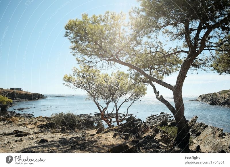 landschaft mit wasser III Ferien & Urlaub & Reisen Ausflug Ferne Freiheit Sommer Sonne Meer Insel Umwelt Natur Landschaft Himmel Baum Küste Strand Bucht träumen