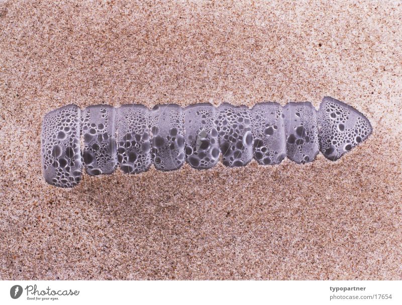 Flasche im Sand Strand Müll verschütten obskur gelehrt Wassertropfen Wind Nordsee Kontrast