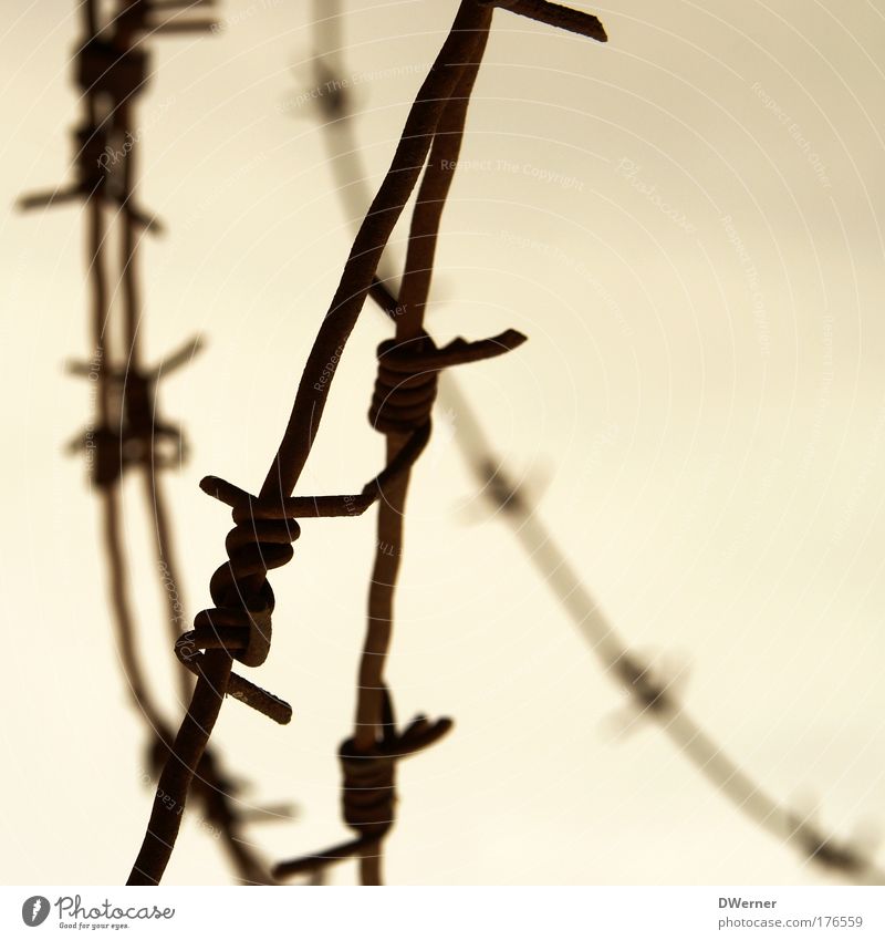 Stacheldraht II Umwelt Himmel Wolken Metall Aggression stachelig Tapferkeit Sicherheit Schutz Angst gefährlich Endzeitstimmung Freiheit Kontrolle Überwachung