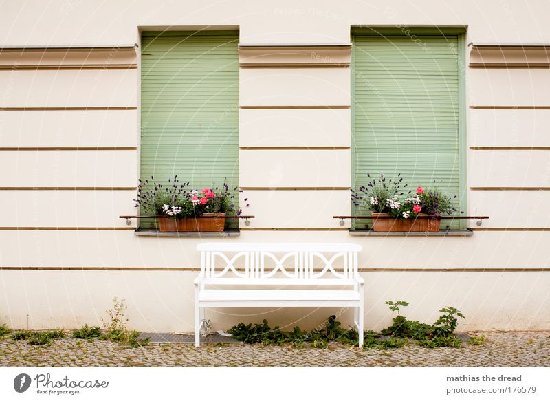 SITZGELEGENHEIT Farbfoto mehrfarbig Außenaufnahme Menschenleer Tag Schwache Tiefenschärfe Pflanze Blume Haus Bauwerk Gebäude Architektur Mauer Wand Fenster