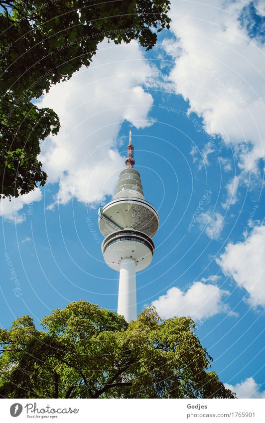 Aufsicht Heinrich Hertz Turm Architektur Natur Tier Himmel Wolken Sommer Baum Hamburg Deutschland Hauptstadt Stadtzentrum Skyline Menschenleer Bauwerk Fenster