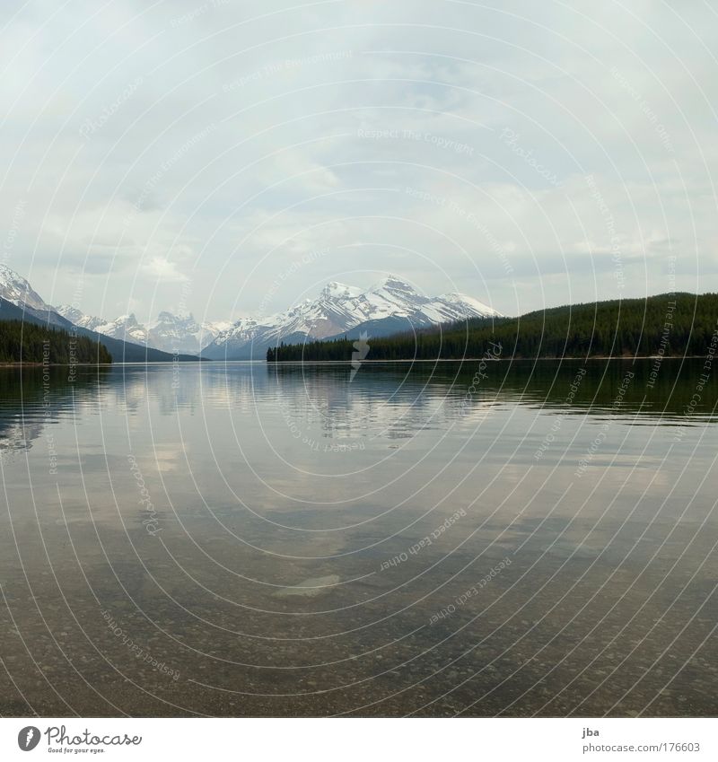 Maligne Lake Farbfoto Außenaufnahme Menschenleer Textfreiraum oben Textfreiraum unten Tag Ferien & Urlaub & Reisen Tourismus Sommer Berge u. Gebirge Natur