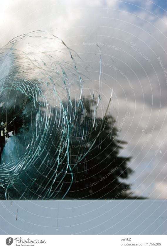 Getroffen Umwelt Natur Landschaft Himmel Schönes Wetter Baum Mauer Wand Fenster Fensterscheibe kaputt Glasbruch Zerbrochenes Fenster gebrochen Riss konzentrisch