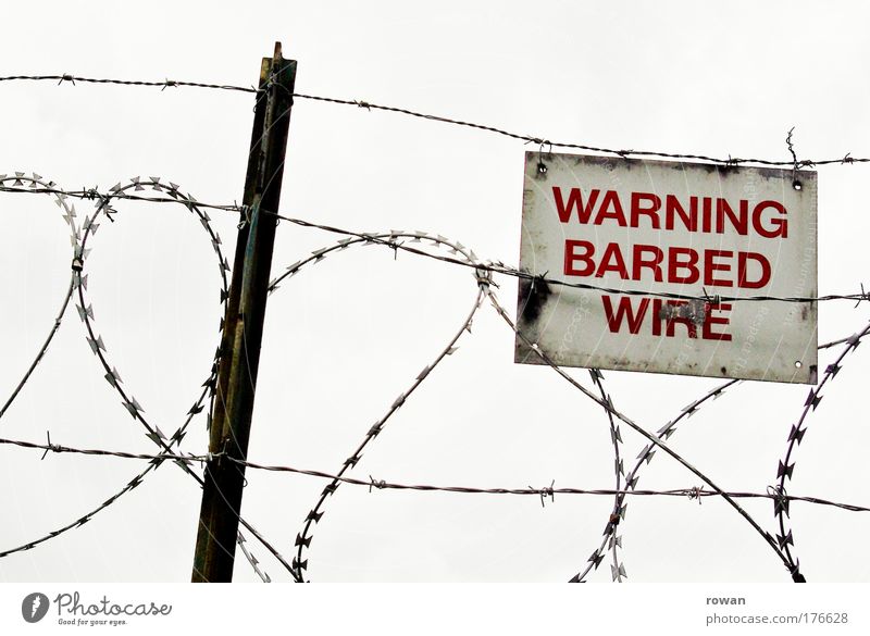 barbed wire love Farbfoto Gedeckte Farben Außenaufnahme Tag Stacheldraht berühren bedrohlich dunkel stachelig rot Schutz gefährlich Misstrauen Feindseligkeit