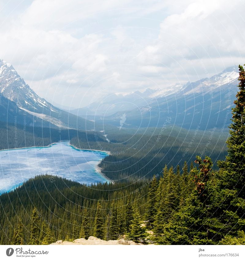 Peyto Lake Farbfoto Außenaufnahme Textfreiraum oben Tag Sonnenlicht Ferien & Urlaub & Reisen Tourismus Ausflug Sommer Natur Landschaft Himmel Berge u. Gebirge