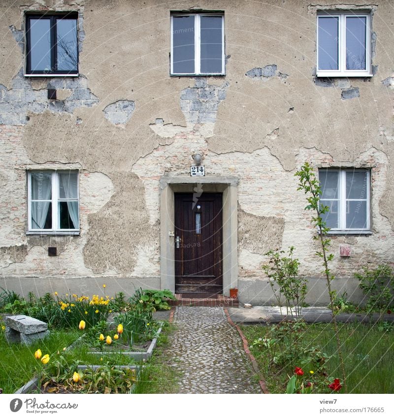 Vorgarten Farbfoto Außenaufnahme Menschenleer Starke Tiefenschärfe Natur Pflanze Klima Blume Gras Sträucher Dorf Haus Einfamilienhaus Mauer Wand Fassade Fenster