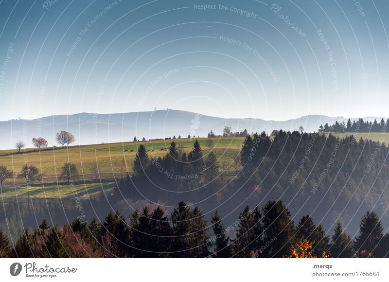 Herbstig Tourismus Ausflug Ferne Berge u. Gebirge Natur Landschaft Wolkenloser Himmel Schönes Wetter Baum Wiese Hügel Erholung frisch Unendlichkeit Gefühle