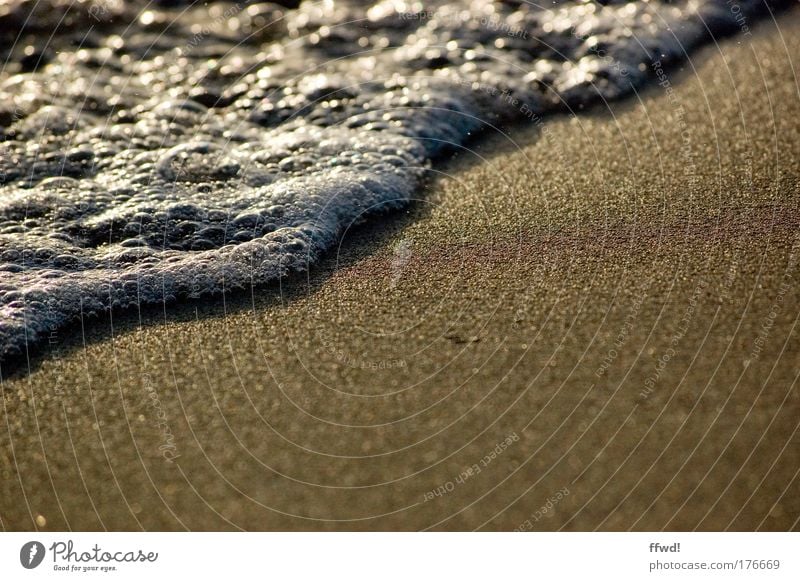 Schaumstrand Farbfoto Gedeckte Farben Außenaufnahme Textfreiraum rechts Textfreiraum unten Morgen Sonnenlicht Schwache Tiefenschärfe Froschperspektive