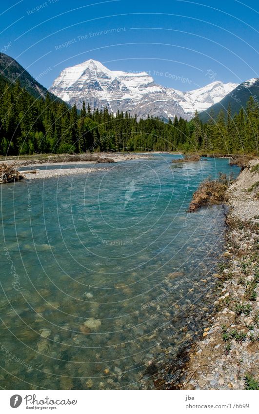 Mt. Robson Farbfoto Außenaufnahme Menschenleer Textfreiraum unten Tag Sonnenlicht Weitwinkel Ferien & Urlaub & Reisen Ausflug Ferne Freiheit Sommer Natur