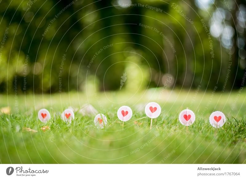 Liebe im Gras Natur Sommer Wiese Zeichen Schilder & Markierungen Herz Grenze Farbfoto Außenaufnahme Nahaufnahme Detailaufnahme Menschenleer Tag