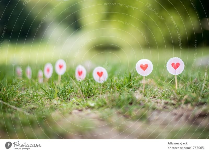 Border of Love Zeichen Herz grün rosa rot Liebe Grenze Schilderwald Rasen Gras Schilder & Markierungen Farbfoto Außenaufnahme Detailaufnahme Menschenleer Tag