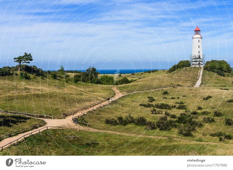 Leuchtturm Dornbusch auf Hiddensee Erholung Ferien & Urlaub & Reisen Tourismus Ferne Sommer Sommerurlaub Meer Insel wandern Natur Landschaft Himmel Baum Gras