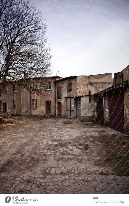 hinterhoftrisstess Farbfoto Außenaufnahme Menschenleer Dämmerung Starke Tiefenschärfe Zentralperspektive Dorf Kleinstadt Stadt Haus Bauwerk Architektur Mauer