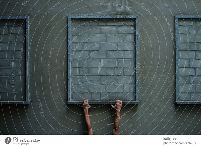 schwedische gardinen Farbfoto Gedeckte Farben Außenaufnahme Detailaufnahme Tag Totale Mensch maskulin Mann Erwachsene Arme Hand Finger 1 Fassade Fenster