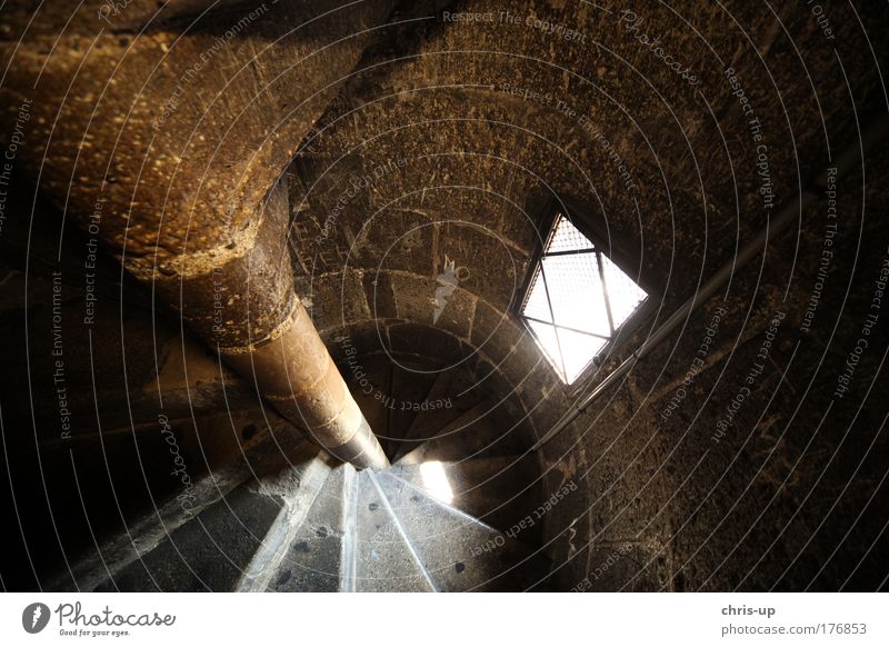 Wendeltreppe Farbfoto Gedeckte Farben Innenaufnahme Menschenleer Tag Kontrast Weitwinkel Treppe Treppenhaus Kultur Wien Hauptstadt Haus Kirche Dom