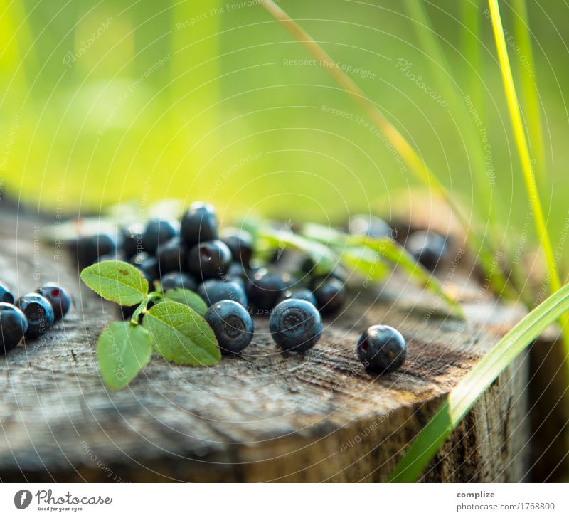 Heidelbeeren Lebensmittel Frucht Dessert Ernährung Essen Picknick Bioprodukte Vegetarische Ernährung Freude Gesundheit Alternativmedizin Gesunde Ernährung