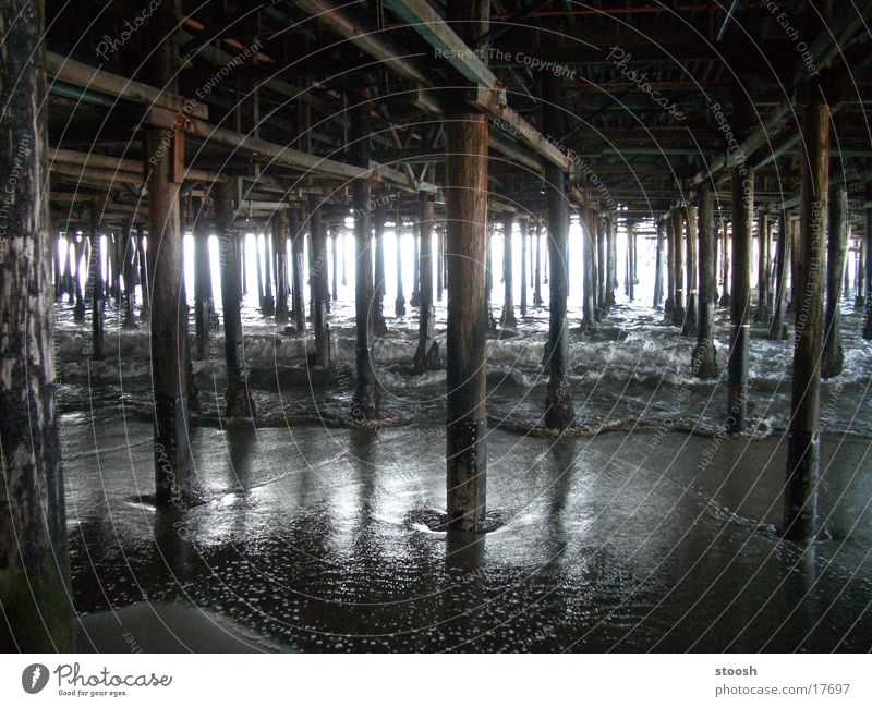 darkwater Anlegestelle Holzpfahl Wasser Meer Gegenlicht Menschenleer Meerwasser Sonnenlicht mehrere sehr viele nass Zentralperspektive Holzgestell Holzbauweise