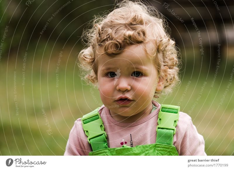 Kleine Baumeisterin Mensch feminin Kind Kleinkind Schwester Kindheit Kopf Haare & Frisuren 1 1-3 Jahre brünett blond Locken Arbeit & Erwerbstätigkeit schön