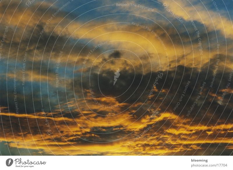 Himmel über Dresden Wolken gelb grau Dämmerung Abenddämmerung Sommer