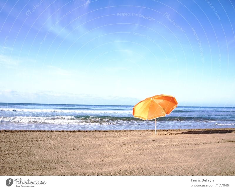 verlassen Farbfoto Außenaufnahme Morgen Tag Abend Licht Schatten Kontrast Sonnenlicht Starke Tiefenschärfe Totale Wellness harmonisch Wohlgefühl Zufriedenheit