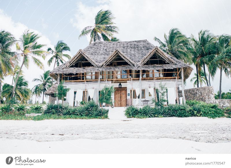 Zanzibar V Lifestyle Reichtum elegant Stil Design Wohlgefühl Erholung ruhig Häusliches Leben Wohnung Haus Traumhaus Natur Sommer Wind Palme Strand Gebäude