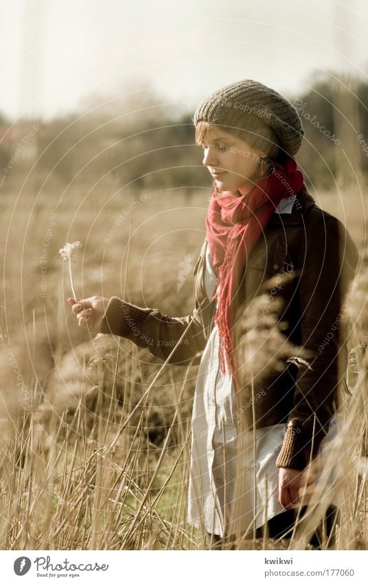 lebenszeichen feminin Junge Frau Jugendliche Kopf Gesicht 1 Mensch 18-30 Jahre Erwachsene Umwelt Natur Landschaft Pflanze Feld beobachten Blühend Denken