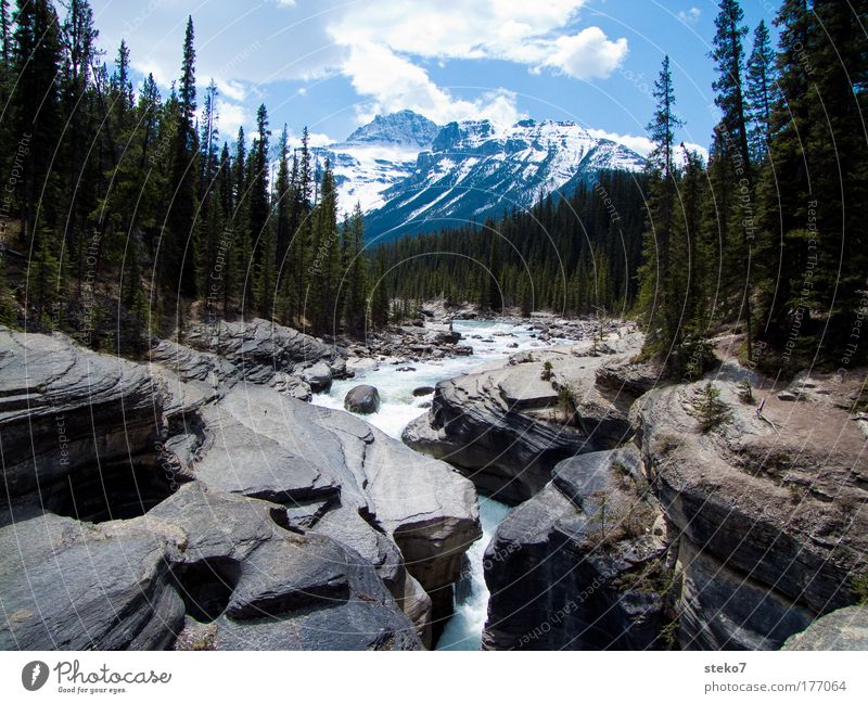 weichgespült Landschaft Sommer Schönes Wetter Wald Felsen Berge u. Gebirge Gipfel Schneebedeckte Gipfel Schlucht Fluss Einsamkeit Erholung Idylle Natur groß