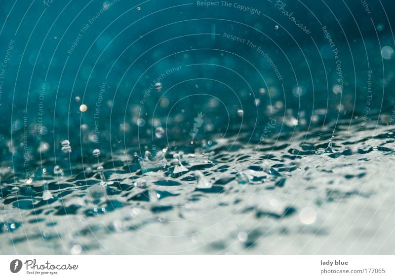 Wasserspiel Farbfoto Außenaufnahme Detailaufnahme Makroaufnahme Experiment Menschenleer Tag Licht Kontrast Froschperspektive Blick nach vorn Wassertropfen