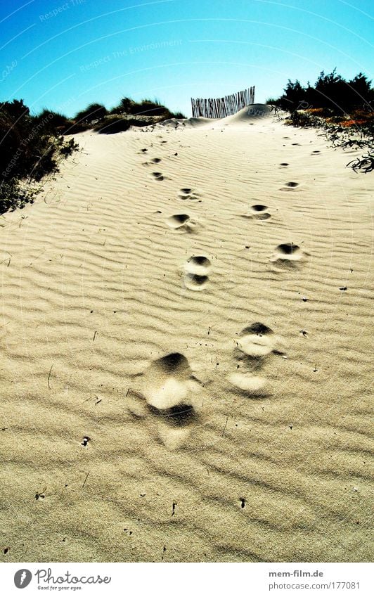 spuren es trenc Mallorca dühne Sand Ferien & Urlaub & Reisen Strand fußabdruck trocken Dürre heiß glühend transpirieren dehydrieren Sommer