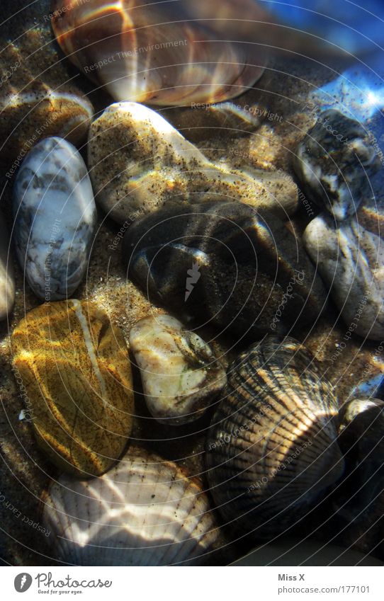 Mehr Meer Farbfoto mehrfarbig Nahaufnahme Detailaufnahme Unterwasseraufnahme Menschenleer Schatten Reflexion & Spiegelung Sonnenlicht Vogelperspektive