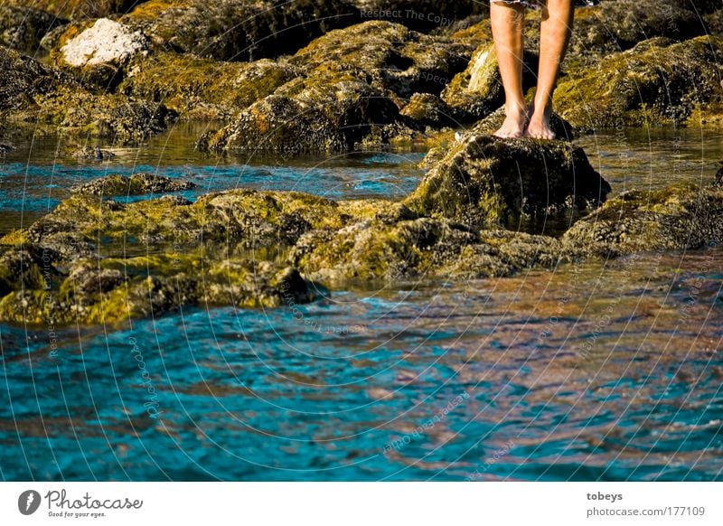 13° Freude Wohlgefühl Schwimmen & Baden tauchen Ferien & Urlaub & Reisen Sommerurlaub Sportler Freibad Seeufer Fluss Flussufer Natur Wasser Schönes Wetter