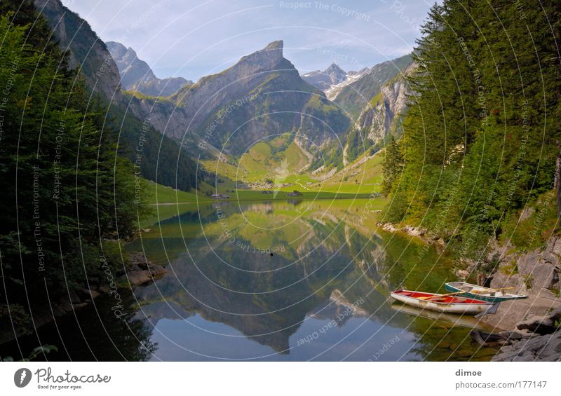 Seealpsee im Alpstein Farbfoto Außenaufnahme Menschenleer Morgen Tag Licht Sonnenlicht Totale Natur Landschaft Wasser Himmel Wolkenloser Himmel Sommer