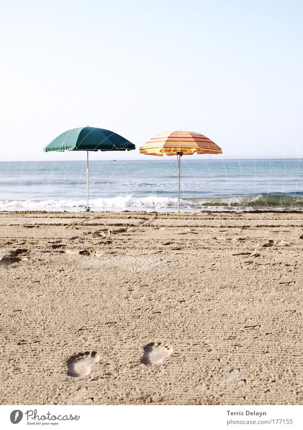 Auf dem Weg zum Strand Farbfoto Außenaufnahme Textfreiraum rechts Textfreiraum oben Morgen Tag Licht Schatten Kontrast Sonnenlicht Totale exotisch Freude