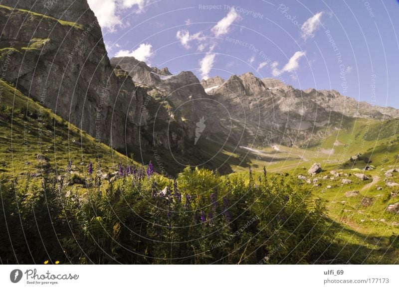 Schweizer Alpen Farbfoto Außenaufnahme Tag Starke Tiefenschärfe Weitwinkel Tourismus Sommer Sommerurlaub Berge u. Gebirge Natur Landschaft Schönes Wetter Gipfel