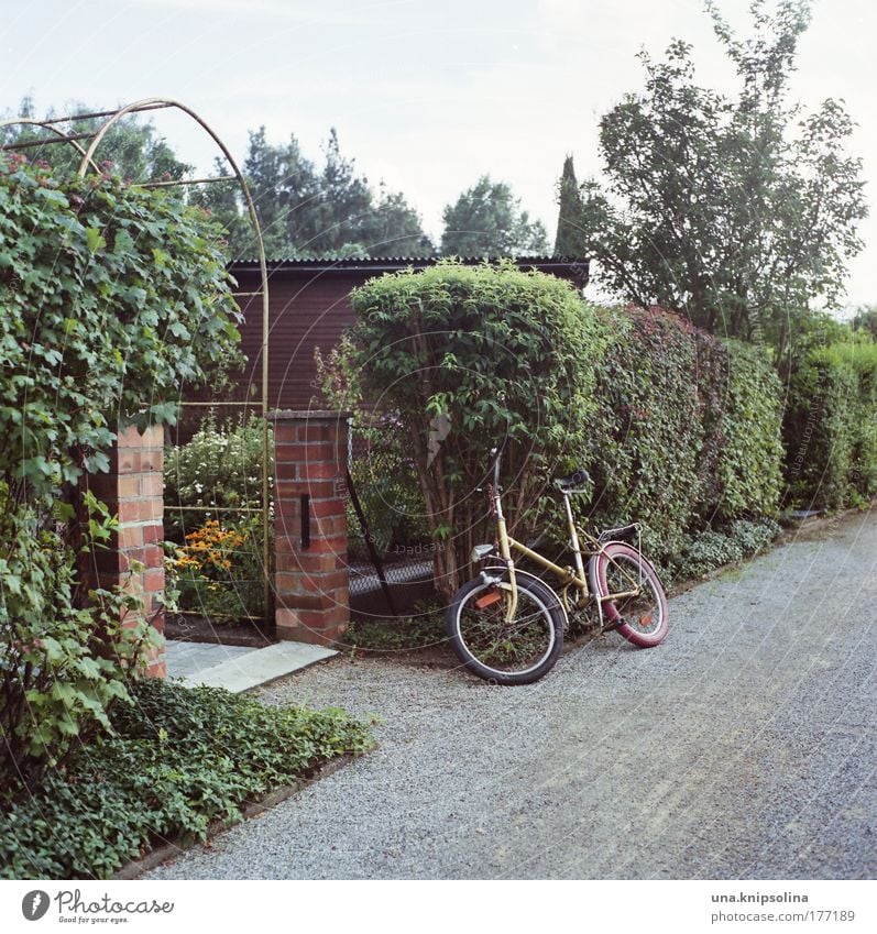 klapprad Freude sparen Freizeit & Hobby Ferien & Urlaub & Reisen Garten Natur Pflanze Schönes Wetter Sträucher Erholung natürlich retro trist grün