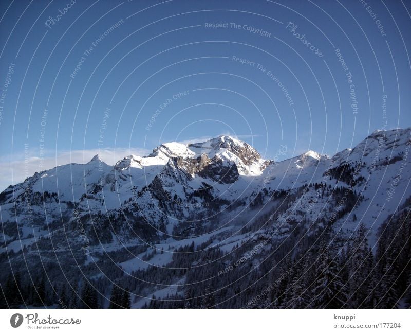 blau-weißer-wintertraum Landschaft Himmel Winter Schönes Wetter Schnee Baum Berge u. Gebirge Blick ästhetisch fantastisch gigantisch groß Unendlichkeit hoch