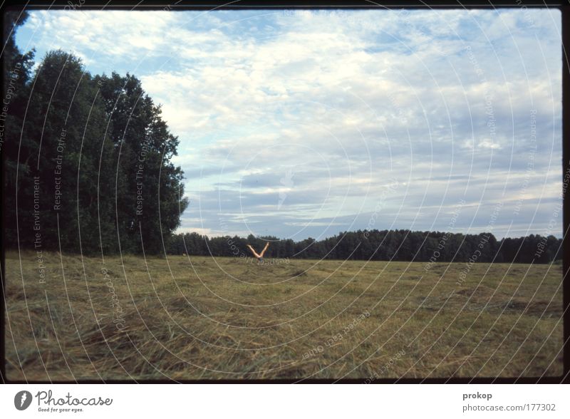 Heck the what...? Farbfoto Außenaufnahme Tag Weitwinkel Mensch Beine Umwelt Natur Landschaft Pflanze Himmel Wolken Sommer Schönes Wetter Baum Gras Wiese Feld