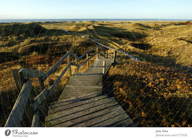 Die Treppe zu Meer Farbfoto Außenaufnahme Menschenleer Abend Schatten Starke Tiefenschärfe Vogelperspektive Natur Landschaft Himmel Herbst Gras Hügel Küste