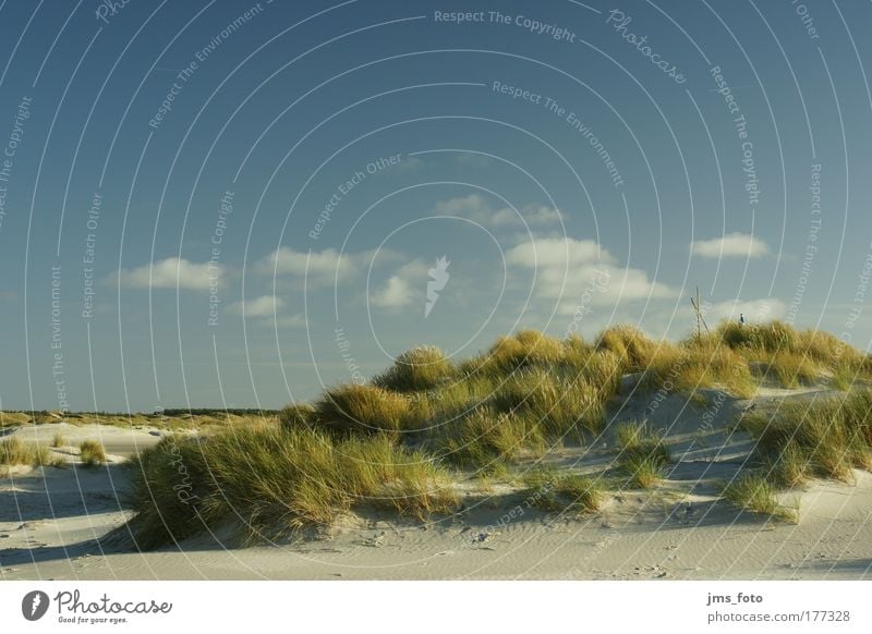 Dünen, Gras, Himmel und Wolken Farbfoto Außenaufnahme Menschenleer Tag Sonnenlicht Starke Tiefenschärfe Totale Landschaft Pflanze Sand Wetter Hügel Strand Insel