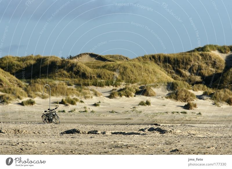 Fahrräder am Laternenpfahl Farbfoto Außenaufnahme Menschenleer Abend Starke Tiefenschärfe Totale Freizeit & Hobby Ferien & Urlaub & Reisen Ferne Landschaft