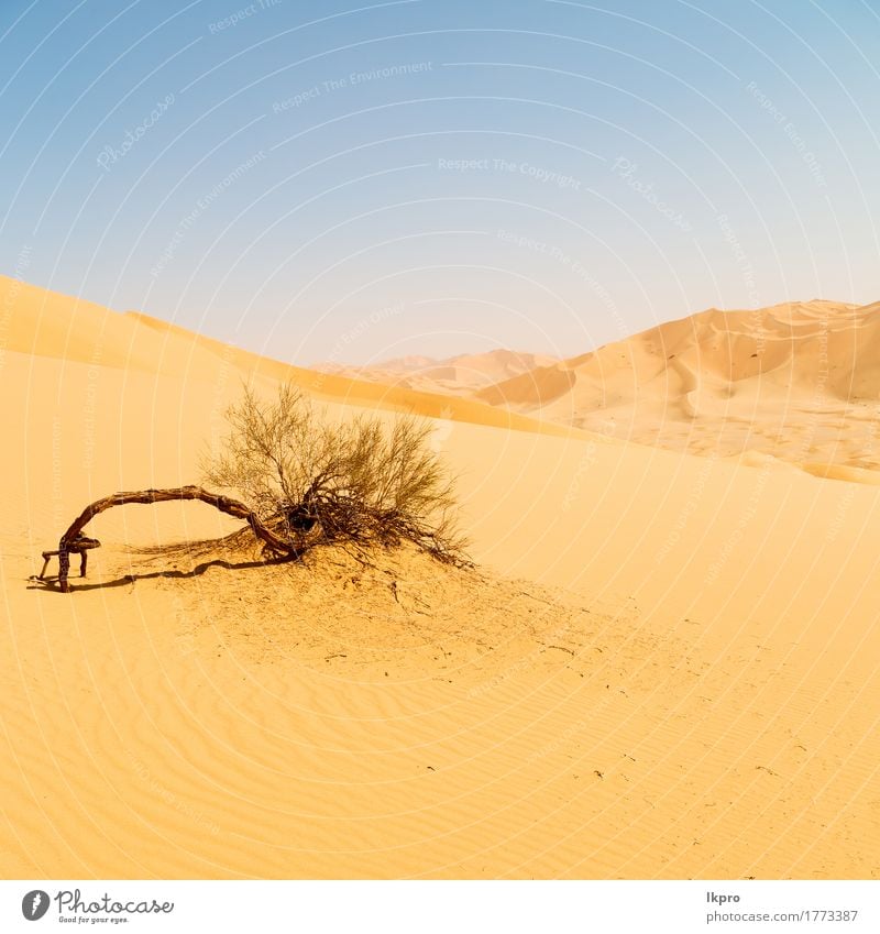 Outdoor-Sanddüne in Oman alten Wüste Rub al Khali schön Ferien & Urlaub & Reisen Tourismus Abenteuer Safari Sommer Sonne Natur Landschaft Himmel Horizont Park