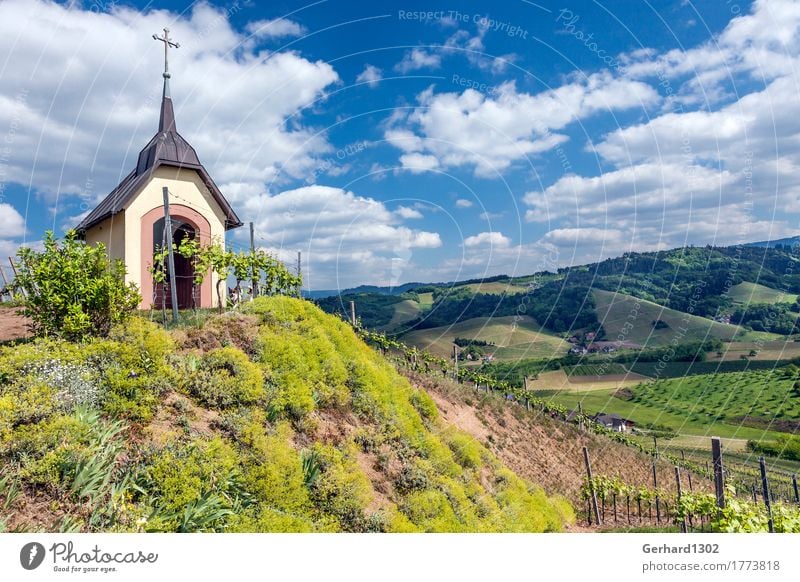 Marienkapelle im Weinberg bei Oberkirch im Schwarzwald Ferien & Urlaub & Reisen Tourismus Ausflug Berge u. Gebirge wandern Erholung Tradition Ortenaukreis