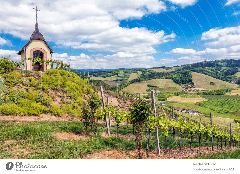 Marienkapelle im Weinberg bei Oberkirch, Ortenau, Schwarzwald Ferien & Urlaub & Reisen Tourismus Ausflug Fahrradtour wandern Landschaft Feld Dorf Erholung Essen