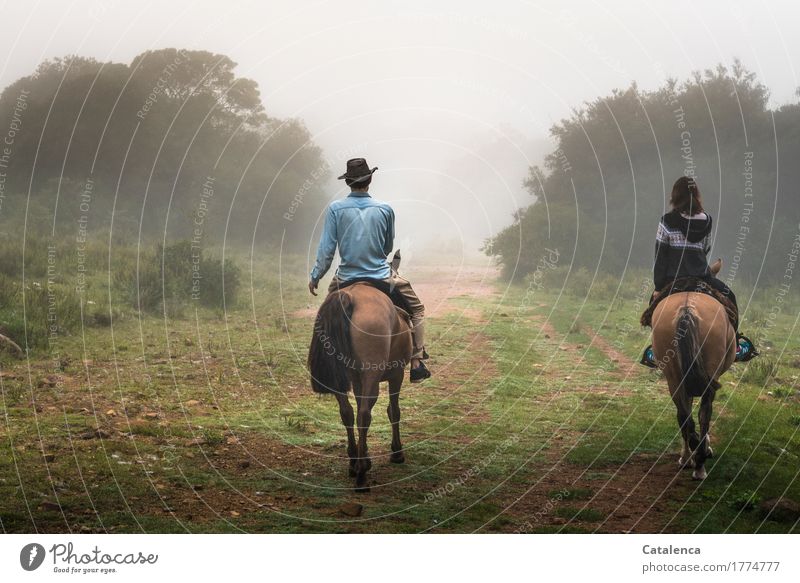 Musik | ist das Geklapper der Hufe in meinen Ohren. Zwei Reiter in nebliger Landschaft Reiten Mensch maskulin feminin Junge Frau Jugendliche Junger Mann 2