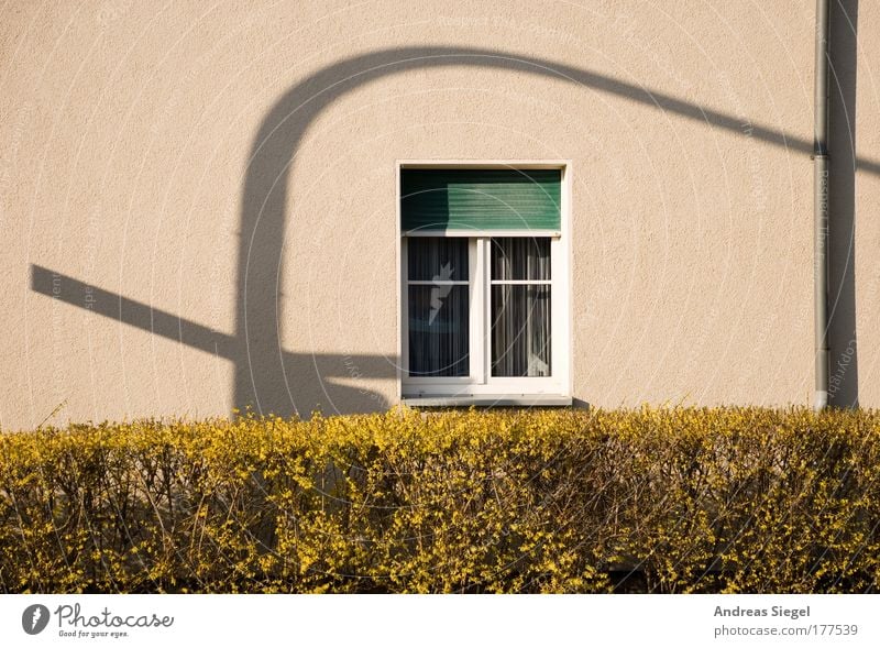 Schattenampel Farbfoto Außenaufnahme Menschenleer Abend Licht Sonnenlicht Häusliches Leben Wohnung Haus Pflanze Grünpflanze Hecke Gebäude Architektur Mauer Wand